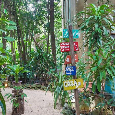 Guest House La Aldea Holistic Experience カンクン エクステリア 写真