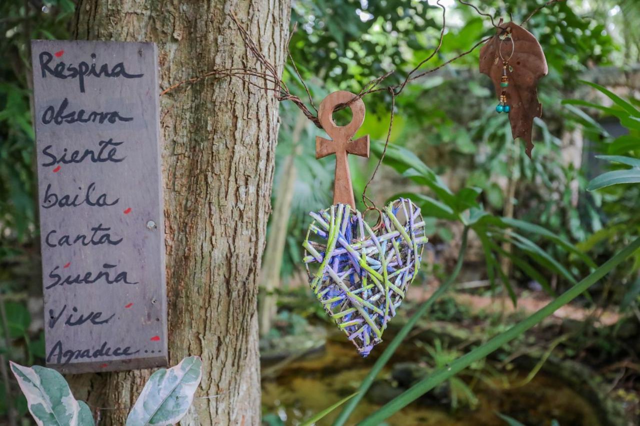 Guest House La Aldea Holistic Experience カンクン エクステリア 写真