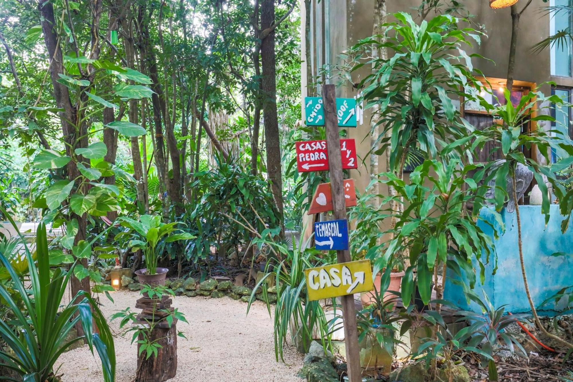 Guest House La Aldea Holistic Experience カンクン エクステリア 写真