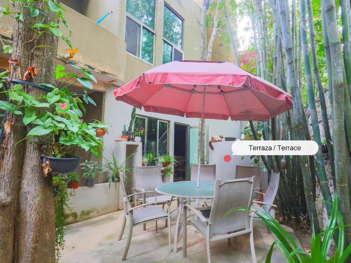 Guest House La Aldea Holistic Experience カンクン エクステリア 写真