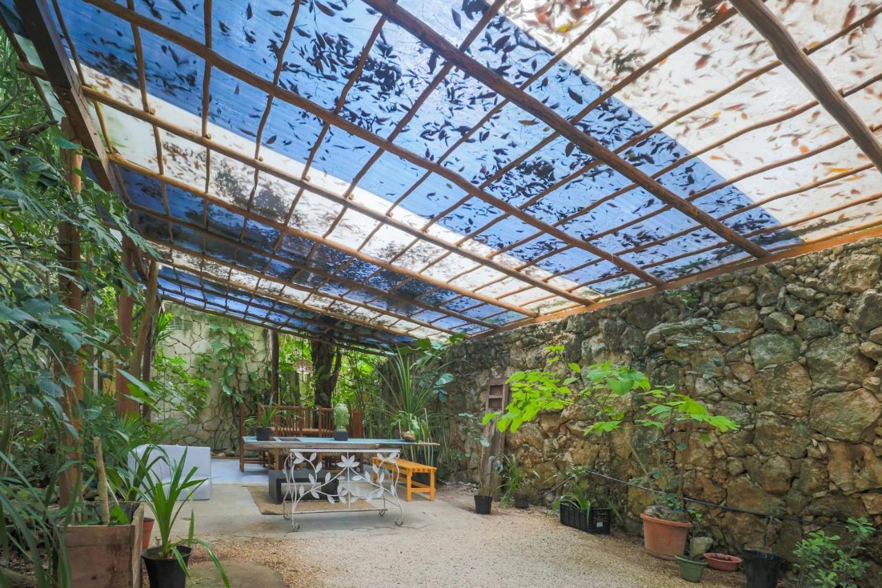 Guest House La Aldea Holistic Experience カンクン エクステリア 写真