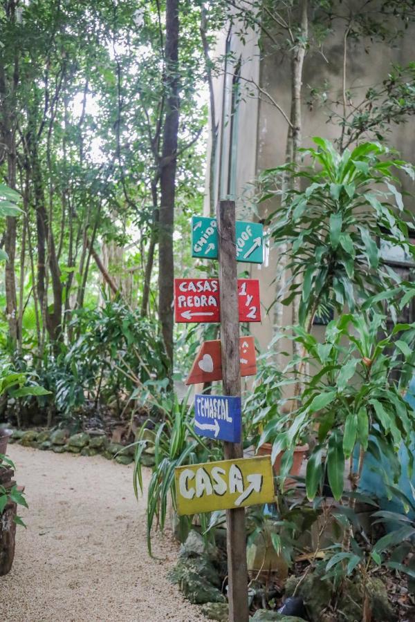 Guest House La Aldea Holistic Experience カンクン エクステリア 写真